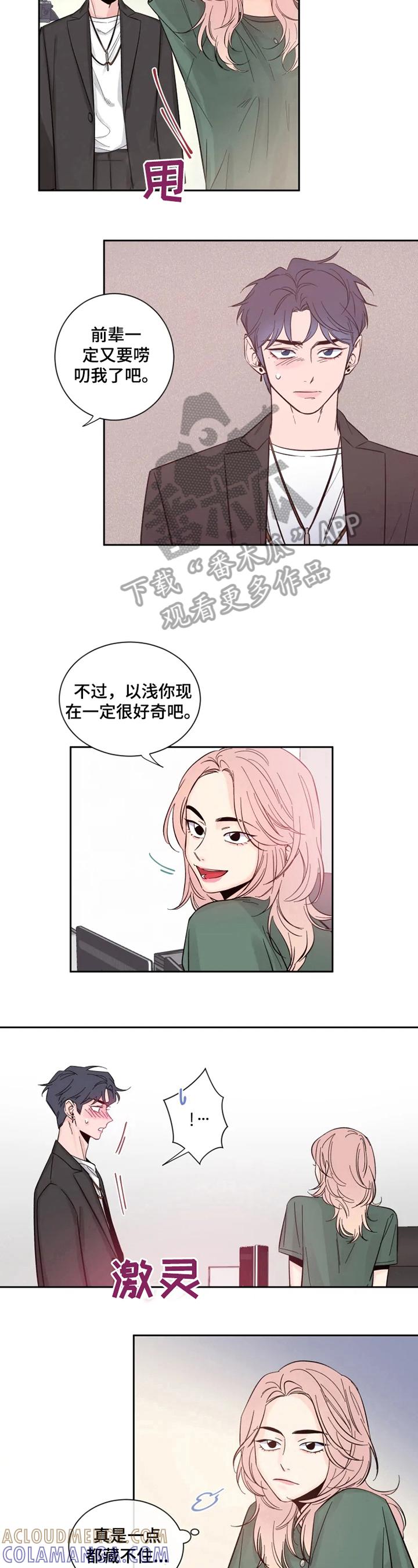 《初见心动》第20章：他很漂亮 第2页