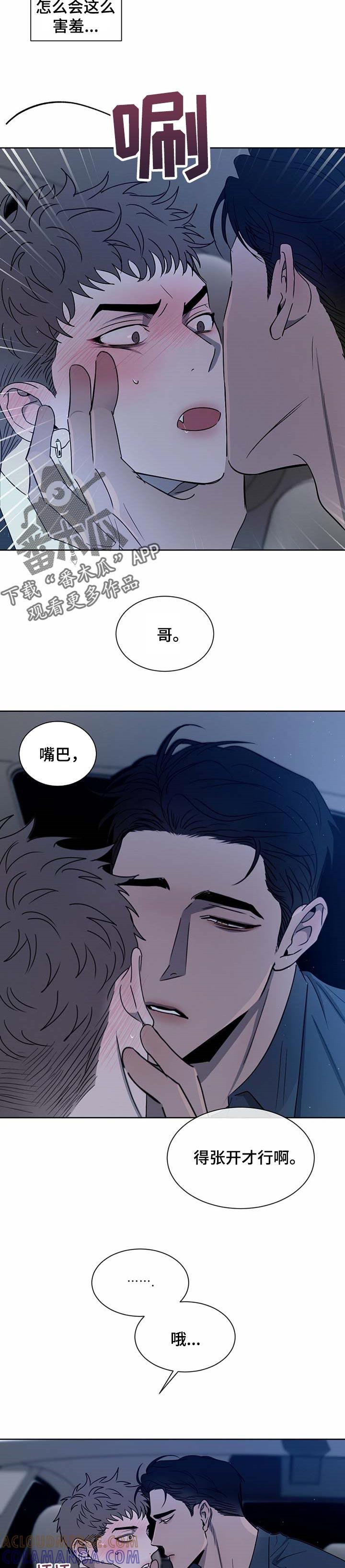 《危险建议》第23章：老套 第2页