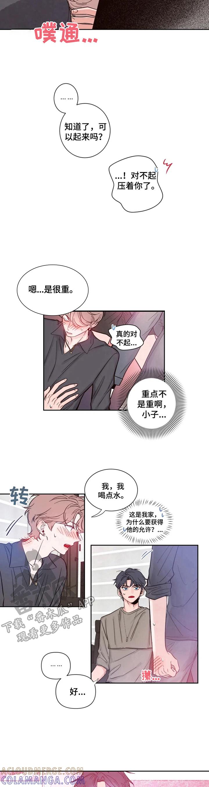 《初见心动》第25章：太兴奋 第6页