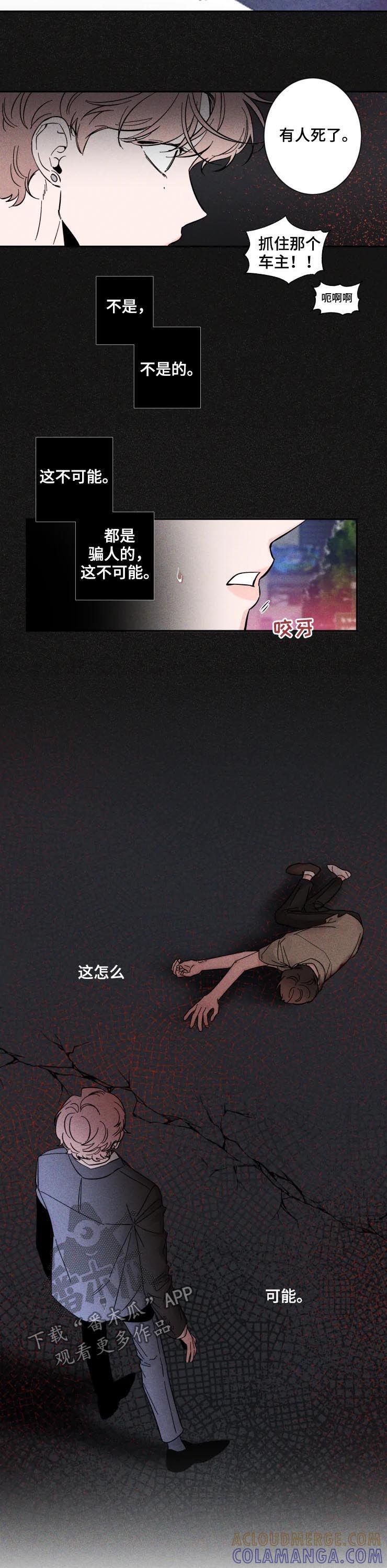 《初见心动》第42章：车祸 第3页