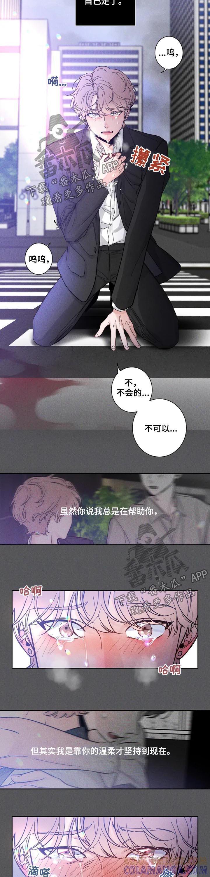 《初见心动》第42章：车祸 第6页