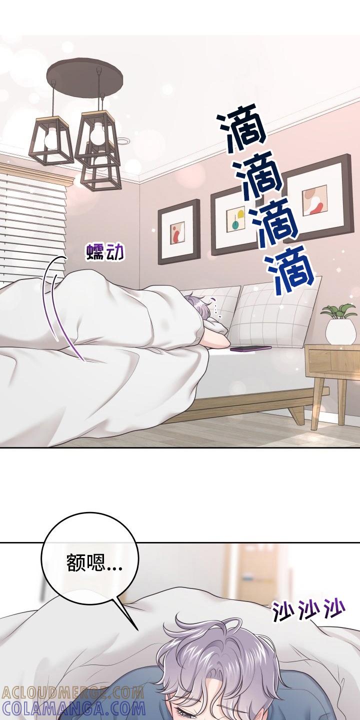 《阿尔法管家》第43章：怎么进来的 第17页