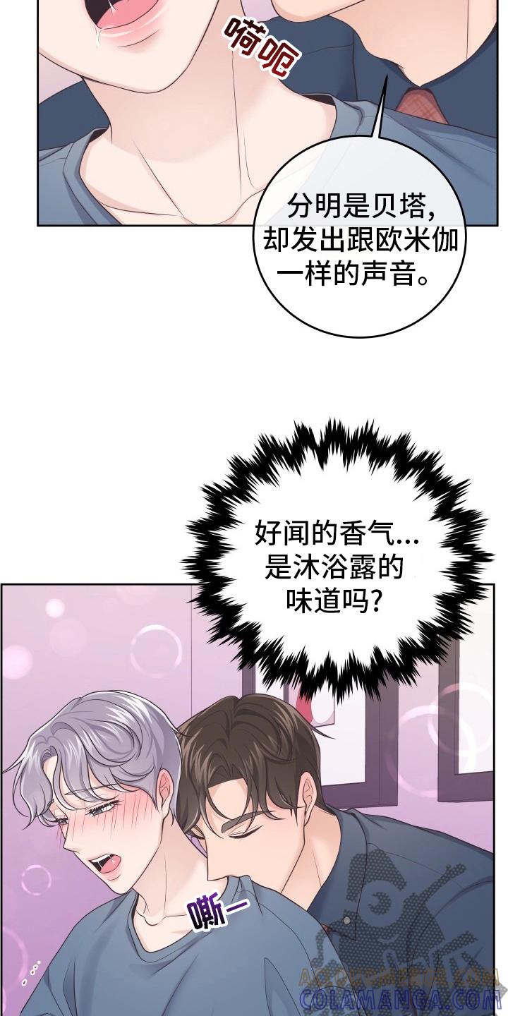 《阿尔法管家》第43章：怎么进来的 第11页