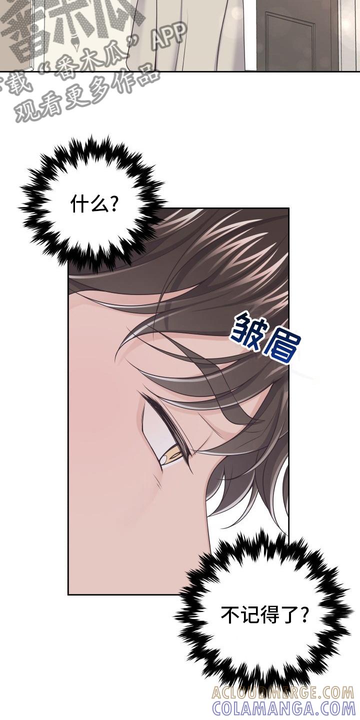 《阿尔法管家》第44章：不记得了 第19页