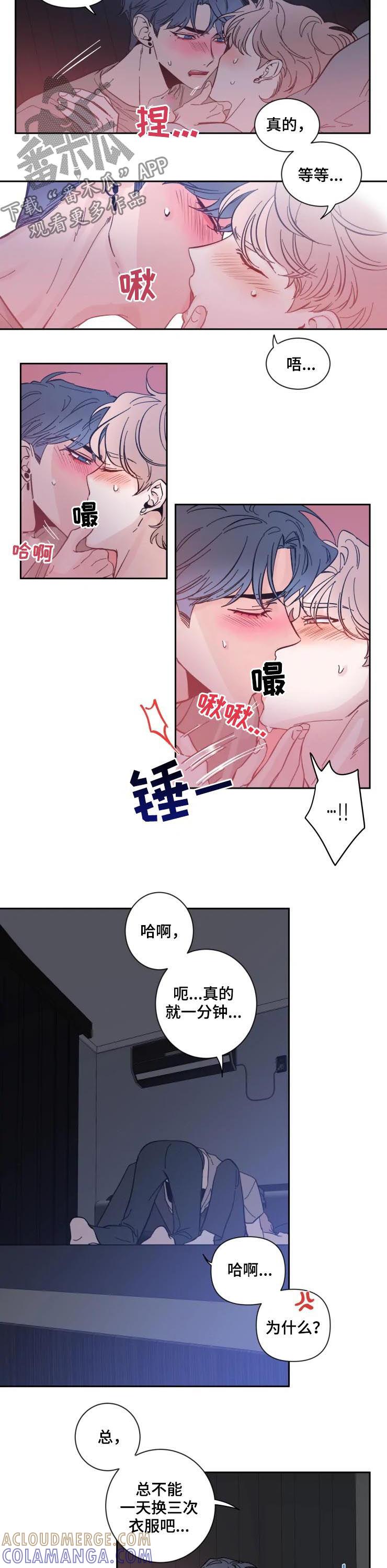 《初见心动》第48章：黏在一起 第2页