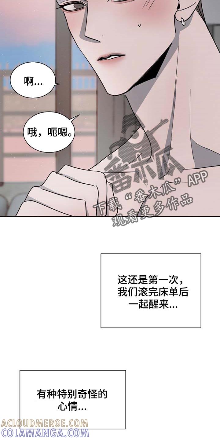 《危险建议》第54章：软骨头 第5页