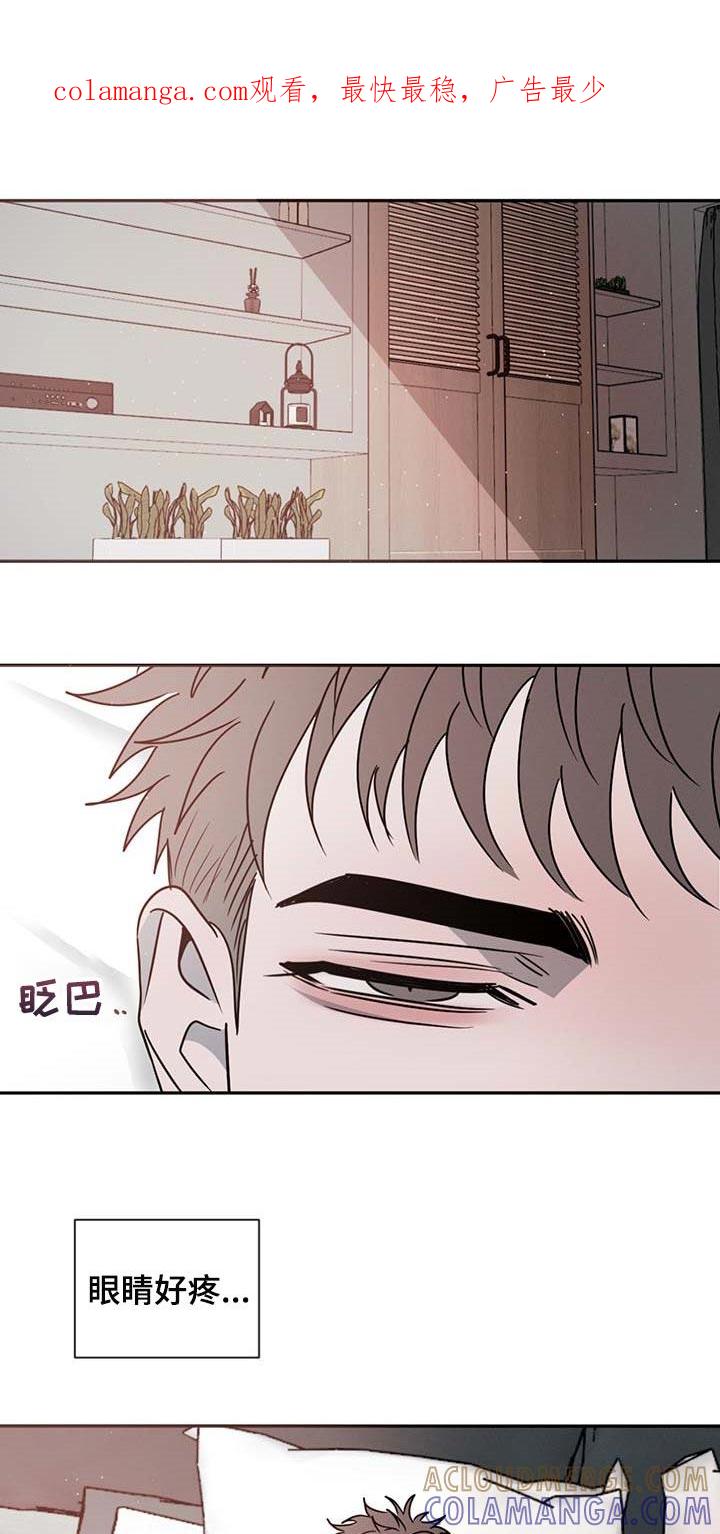 《危险建议》第54章：软骨头 第1页