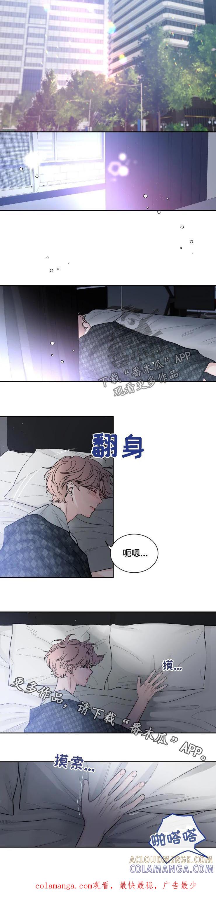 《初见心动》第55章：不会丧气 第8页