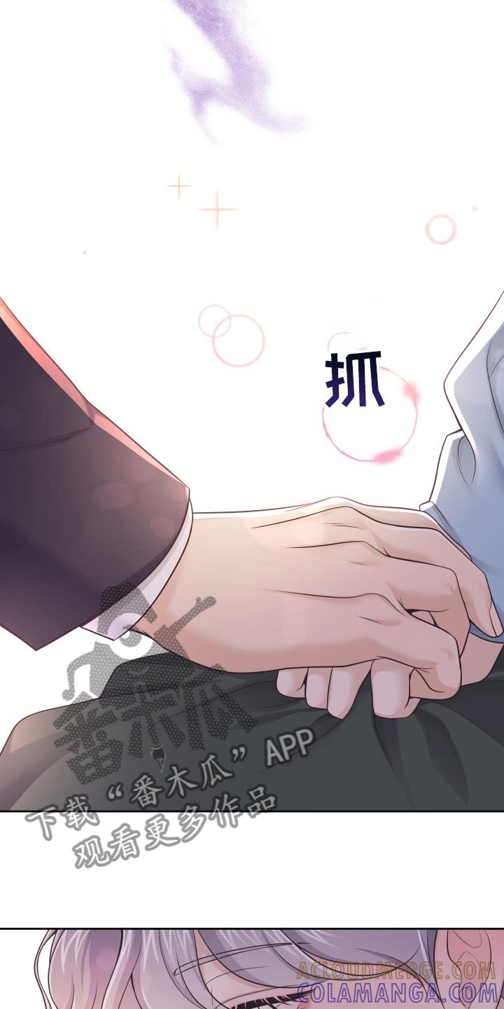 《阿尔法管家》第61章：【第一季完结】负责 第21页