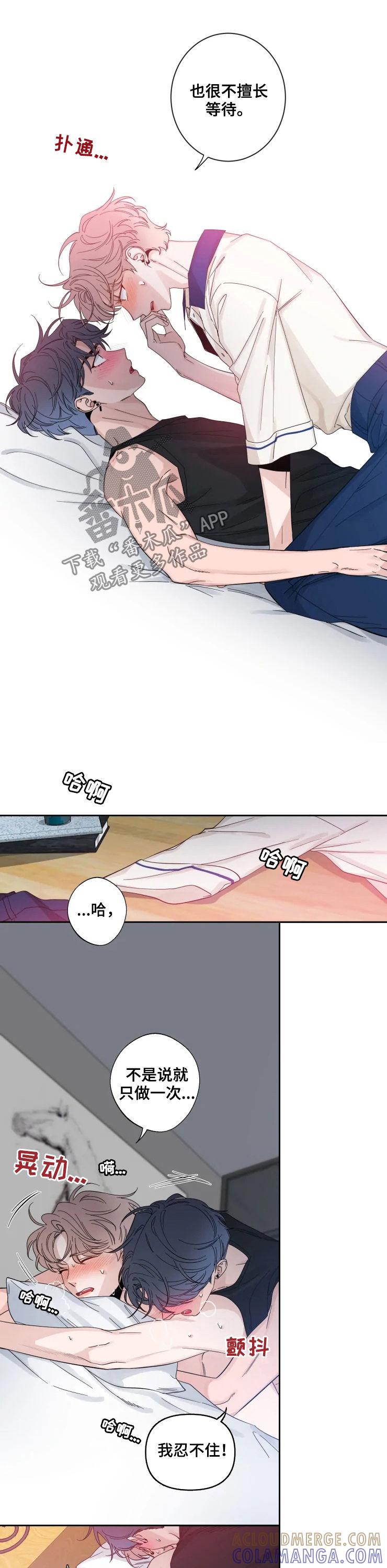 《初见心动》第66章：不擅长等待（第一季完结） 第3页