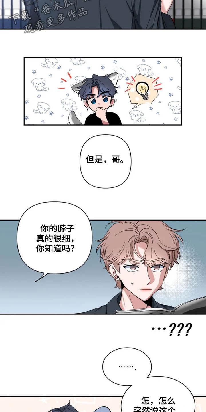《初见心动》第69章：【第二季】介绍 第6页