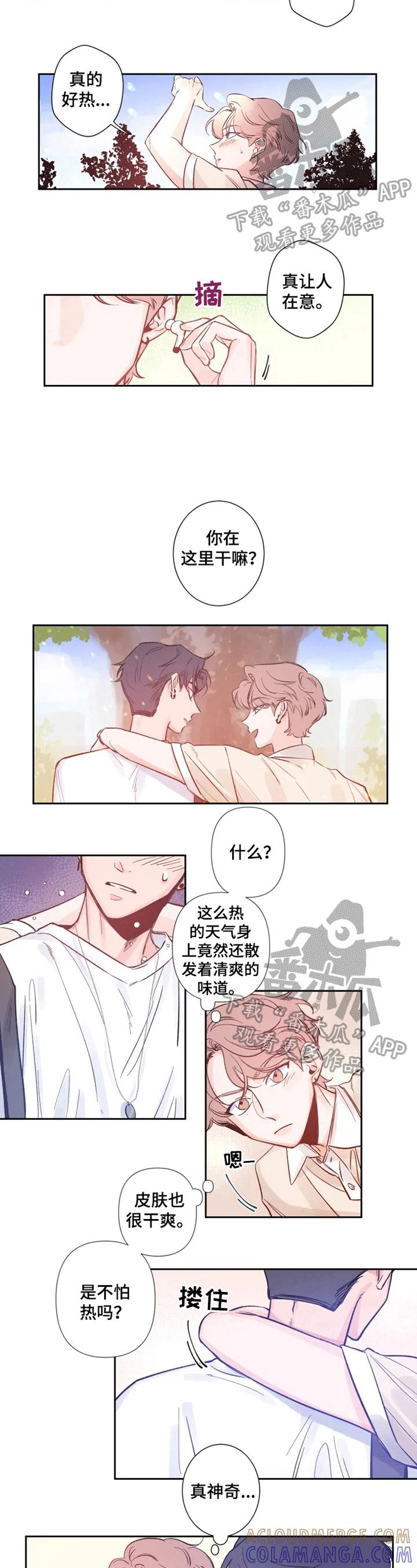 《初见心动》第7章：等待着什么 第5页