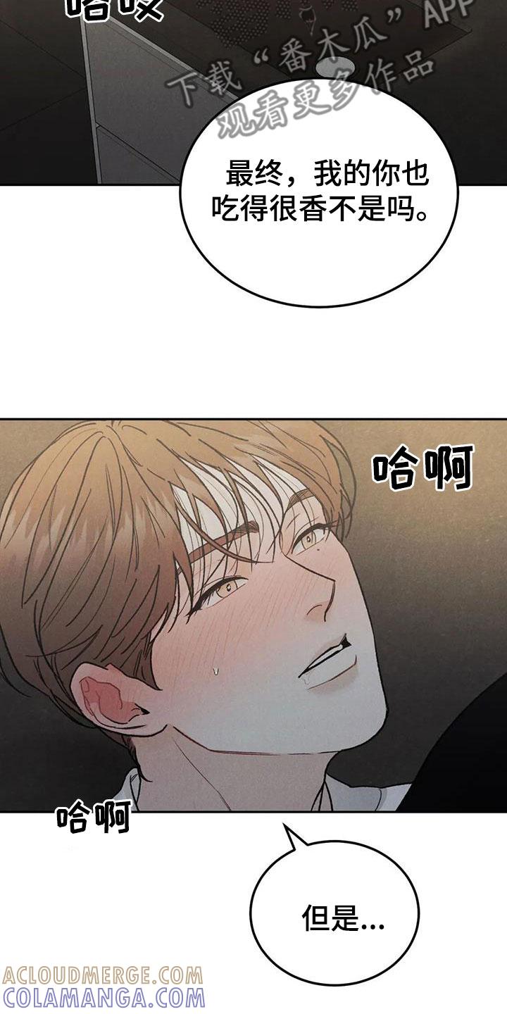 《沉迷其中》第97章：【第二季】格外关照 第17页