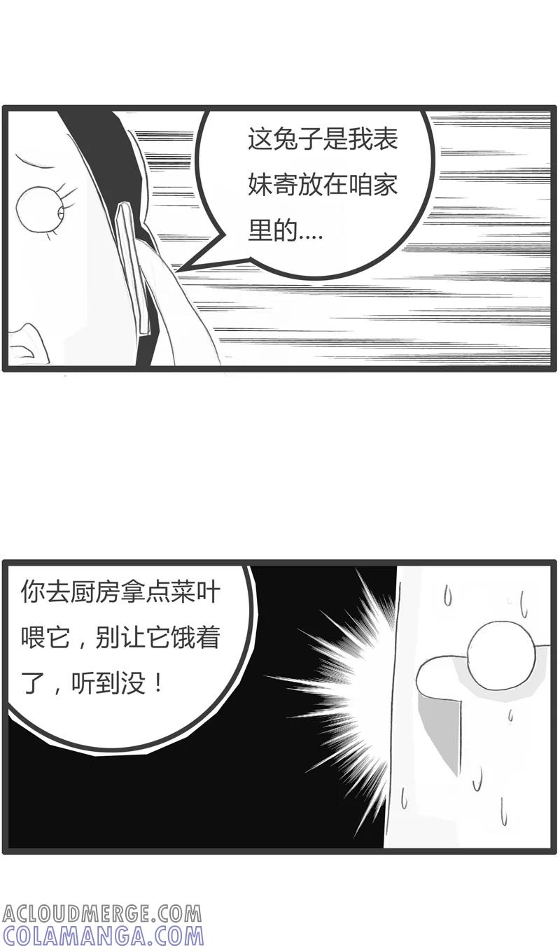 火锅家族第一季 第249话 兔子喂了没 第4页