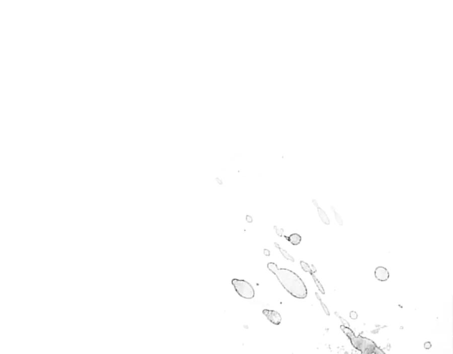 圣子是什么狗屁，这是现代医学的力量 - 第124话 惊险抢救 - 第136张图