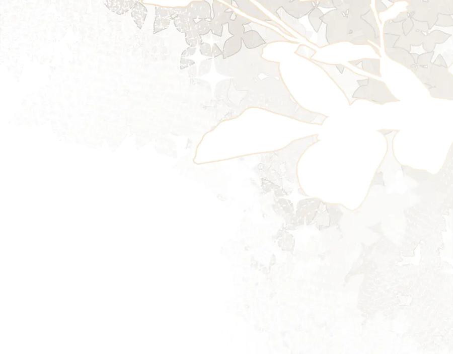 圣子是什么狗屁，这是现代医学的力量 - 第126话 完成统一 - 第96张图