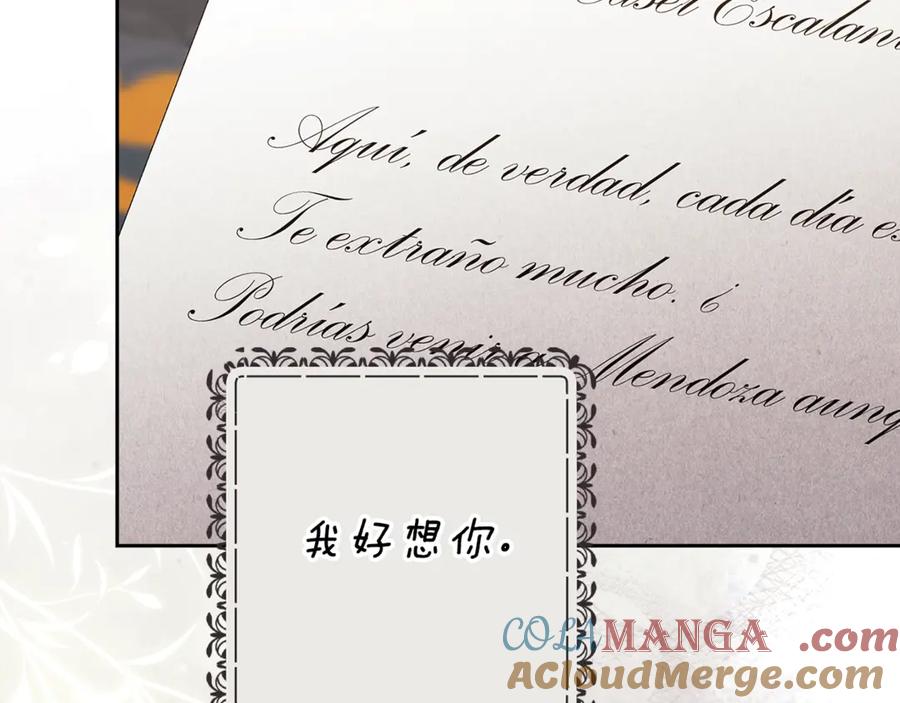 《这个婚反正也要完蛋》第81话 想你 第205页