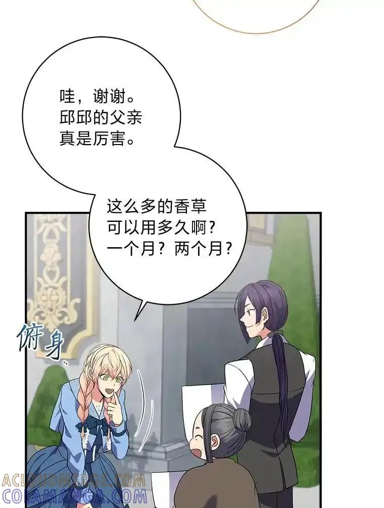 公爵夫人的秘密执笔 66.价值连城的礼物 第17页