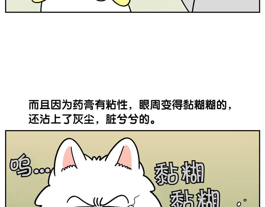 《我的狗子叫棉花》第43话 治疗眼病(2) 第30页