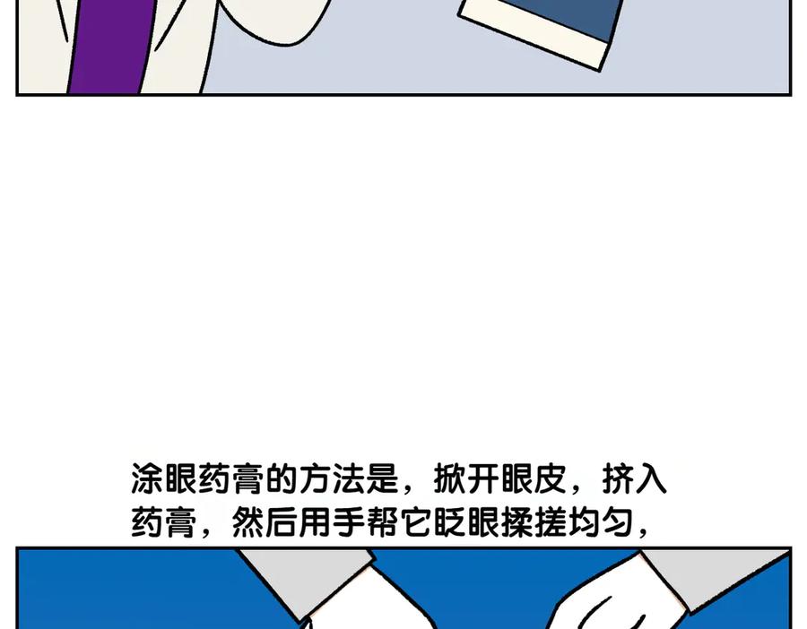 《我的狗子叫棉花》第43话 治疗眼病(2) 第27页