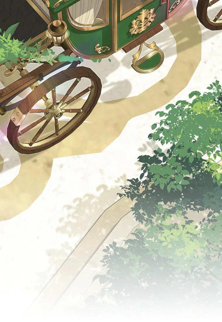 《黑豹家族的雪豹宝宝》第28话 第91页