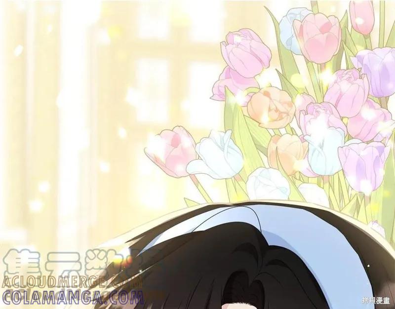 《明明是冷美人小姐却变成了忠犬大少爷》第78话 第41页