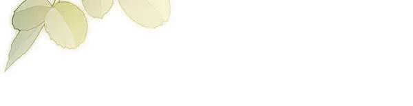 坏蛋们的掌上千金 - 完结篇 永远幸福 - 第64张图