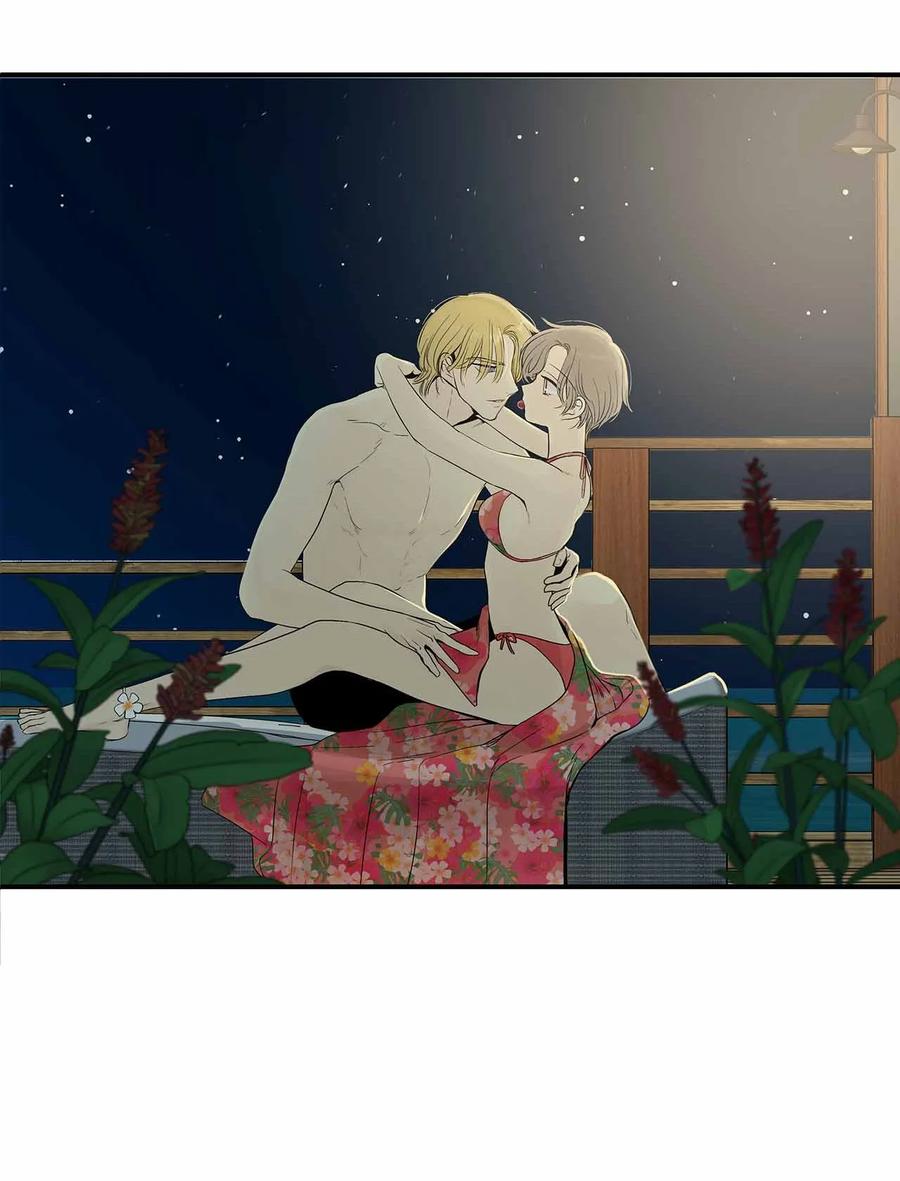 图腾领域 - 001 无人岛 - 第28张图