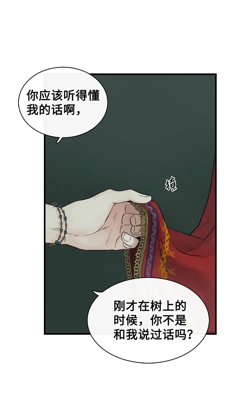 图腾领域 - 84 痛苦的记忆 - 第66张图