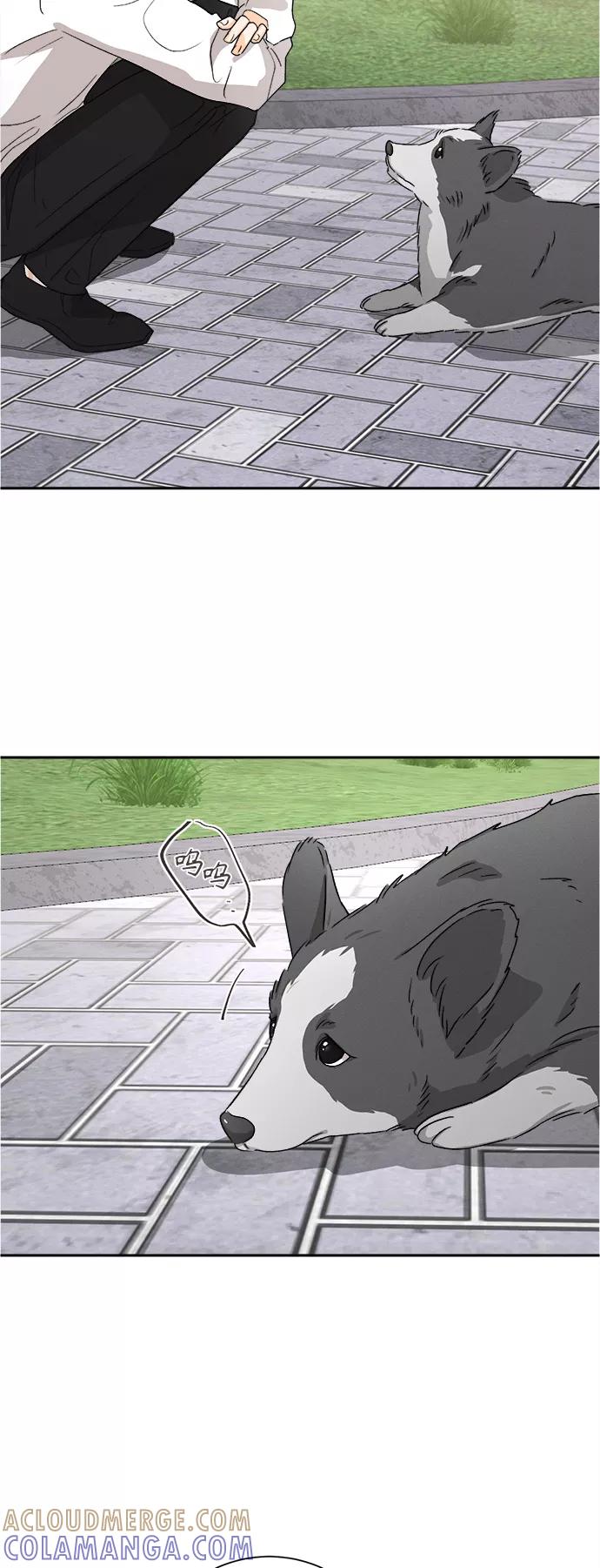 《仲夏，夜之梦》[第59话] 紫丁香(1) 第33页