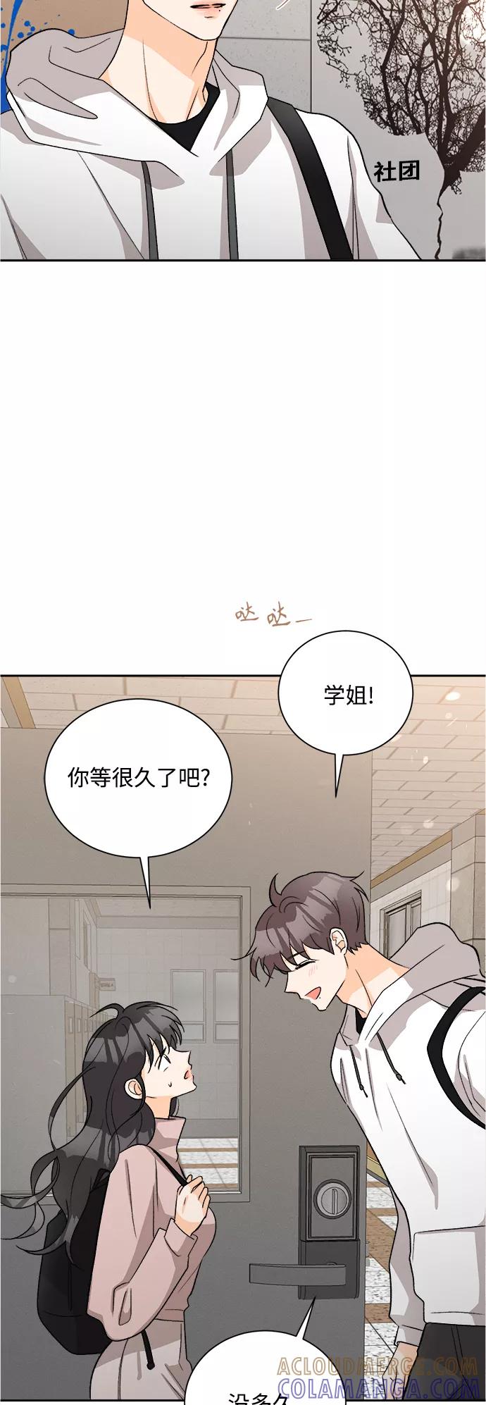 《仲夏，夜之梦》[第65话] 芒果色郁金香(4) 第4页