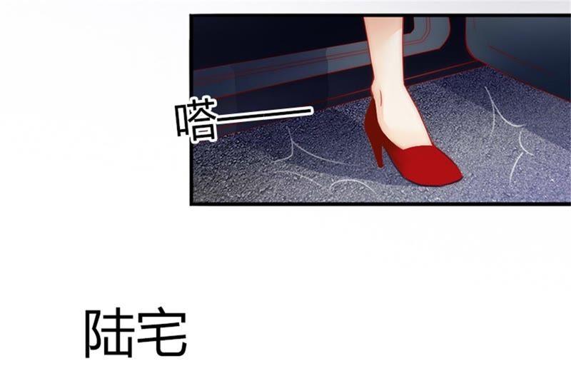 《闪婚密爱：墨少的心尖宠》陆家风波 第48页