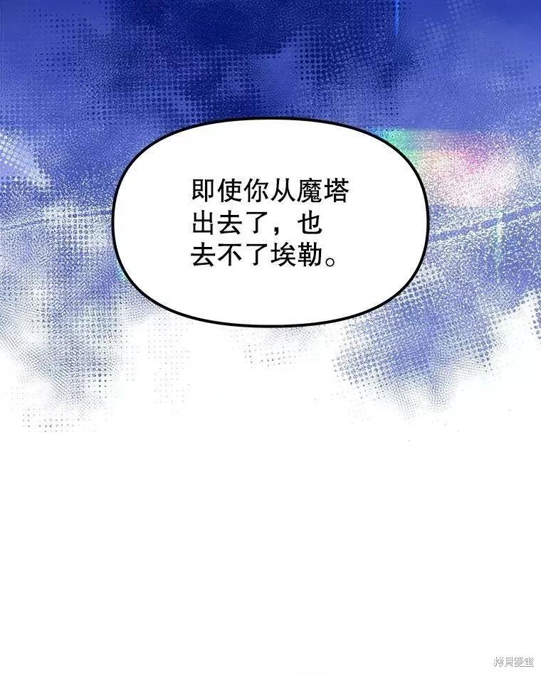 《王女在装疯卖傻》第65话 第104页