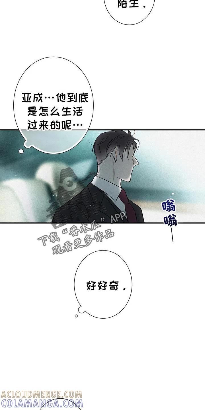 念念不忘 第49章：我很陌生 第21页