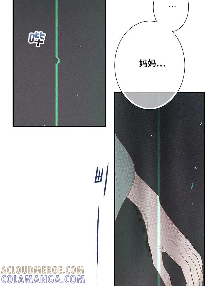 念念不忘 第52章：遗忘那份温暖 第13页