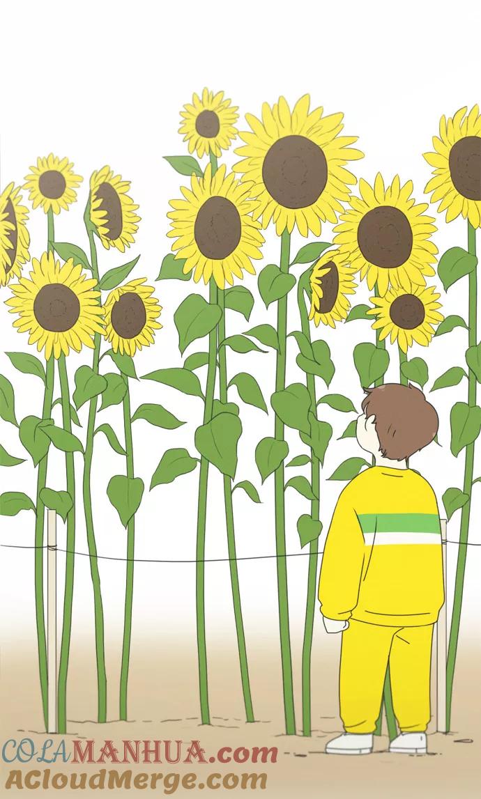《恋爱革命》[第174话] Sunflower（1） 第37页