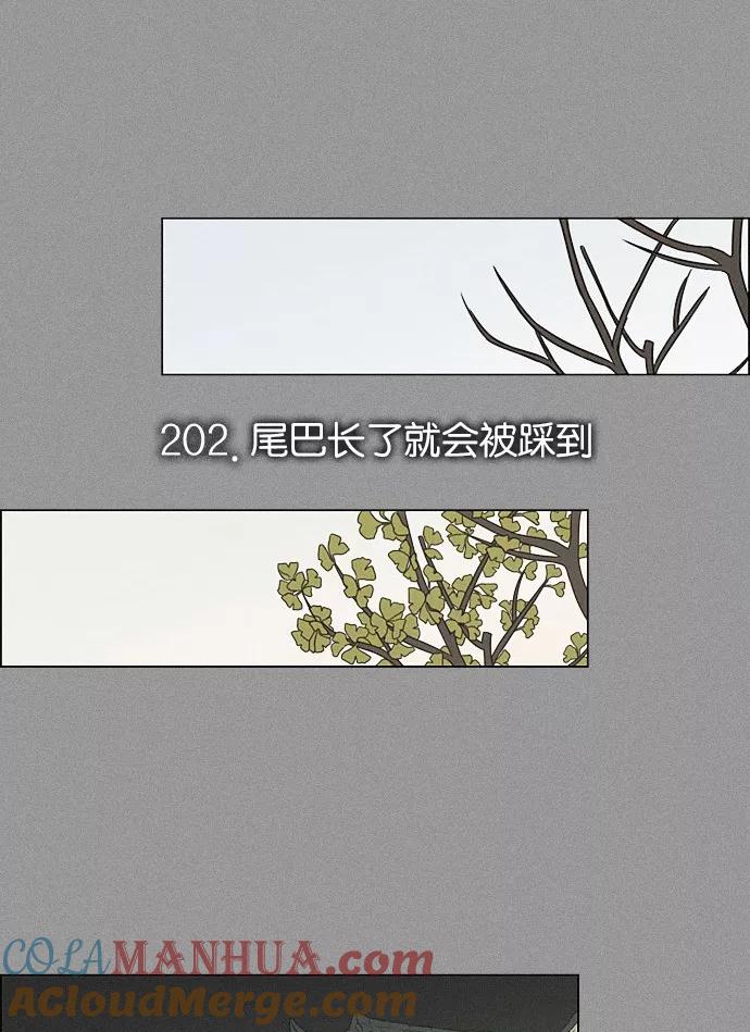 《恋爱革命》[第202话] 尾巴长了就会被踩到 第25页