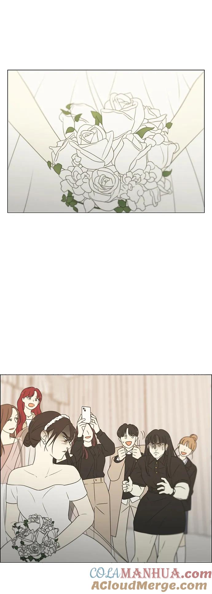 《恋爱革命》[第437话] 特别篇（3） 第52页