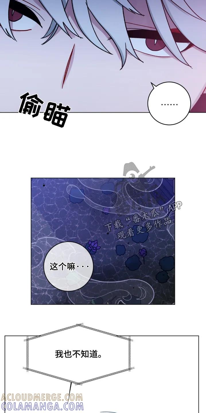 《复生之缘》第127章：我不知道 第13页
