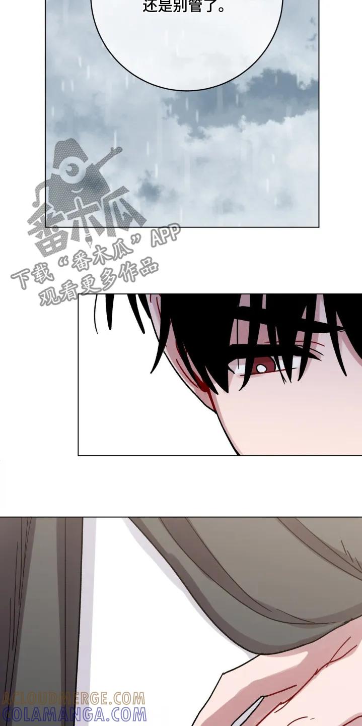 《复生之缘》第135章：通知单 第17页