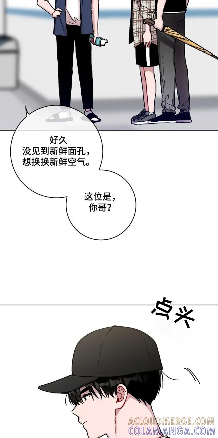 《复生之缘》第136章：有事问你 第21页