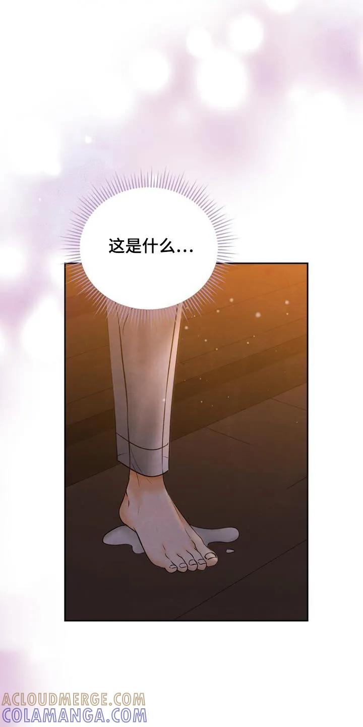 《拯救剧本里的我》第45章：我也是殿下的人 第29页