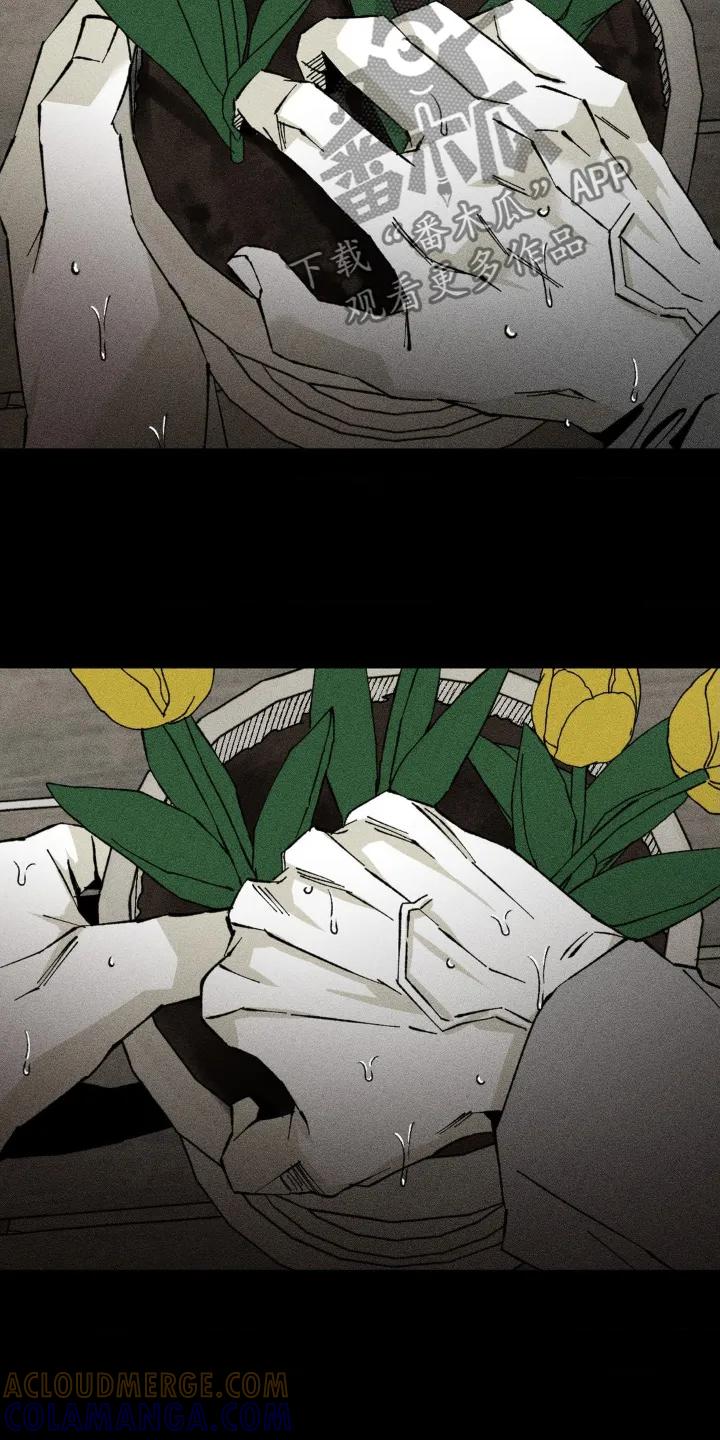 《强人锁男》第48章：没有回应 第11页
