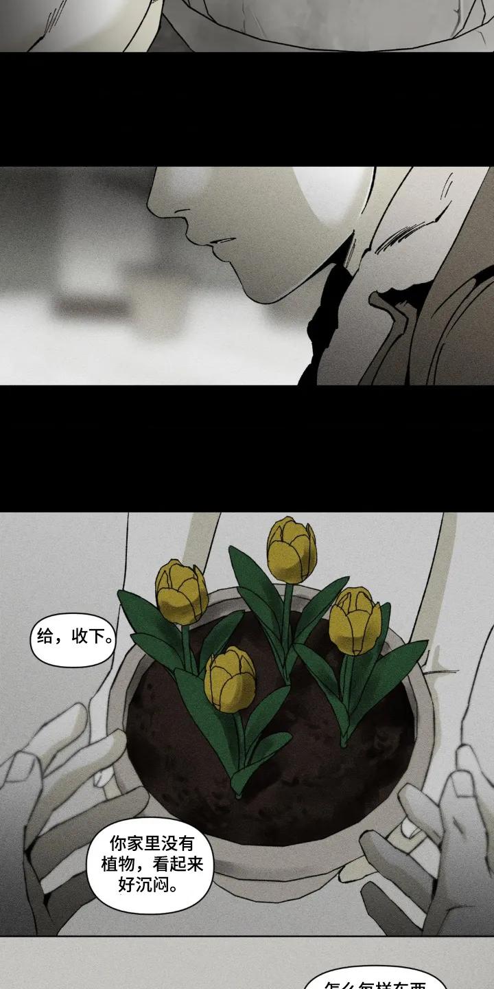 《强人锁男》第56章：好好珍惜 第10页