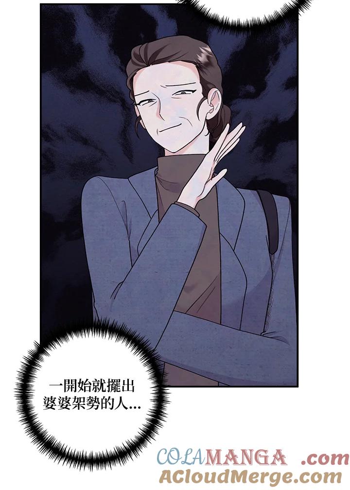 《替身未婚夫》第29话 第73页