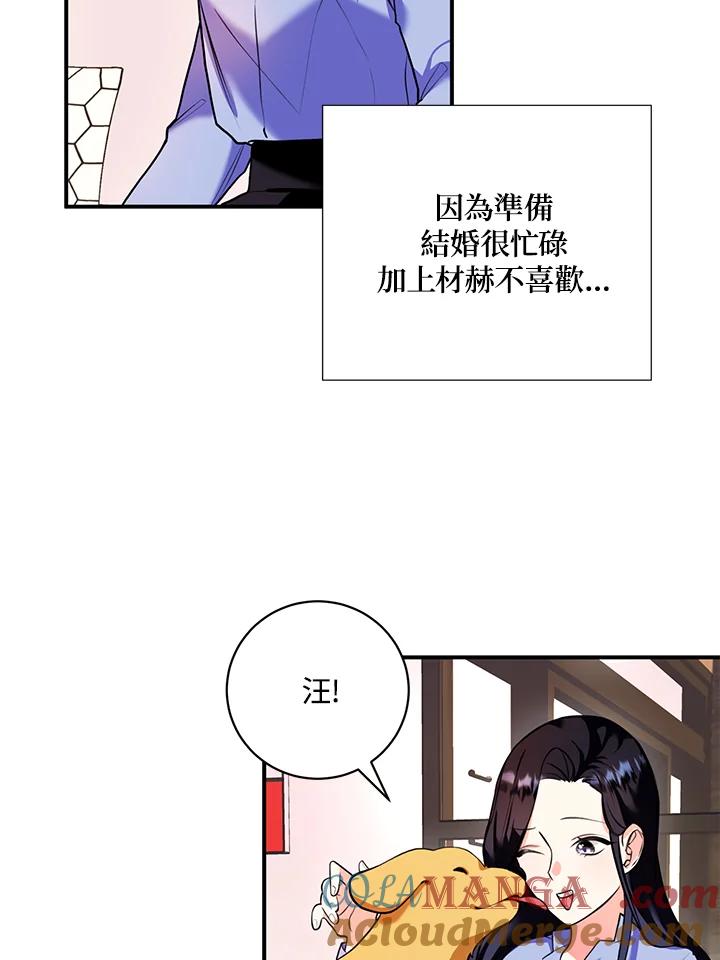 《替身未婚夫》第5话 第5页