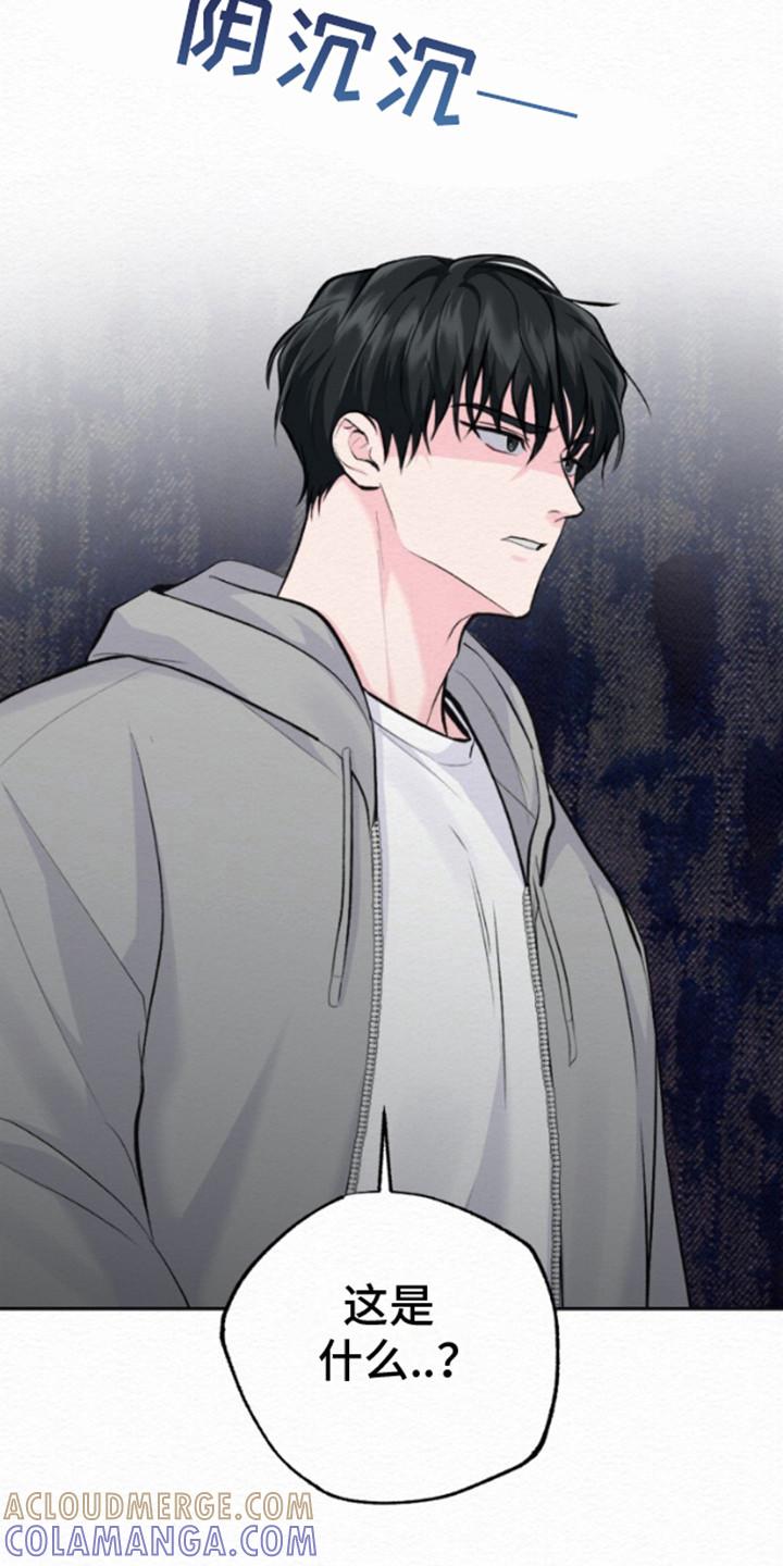 《给记忆添香》第13章：回家 第13页