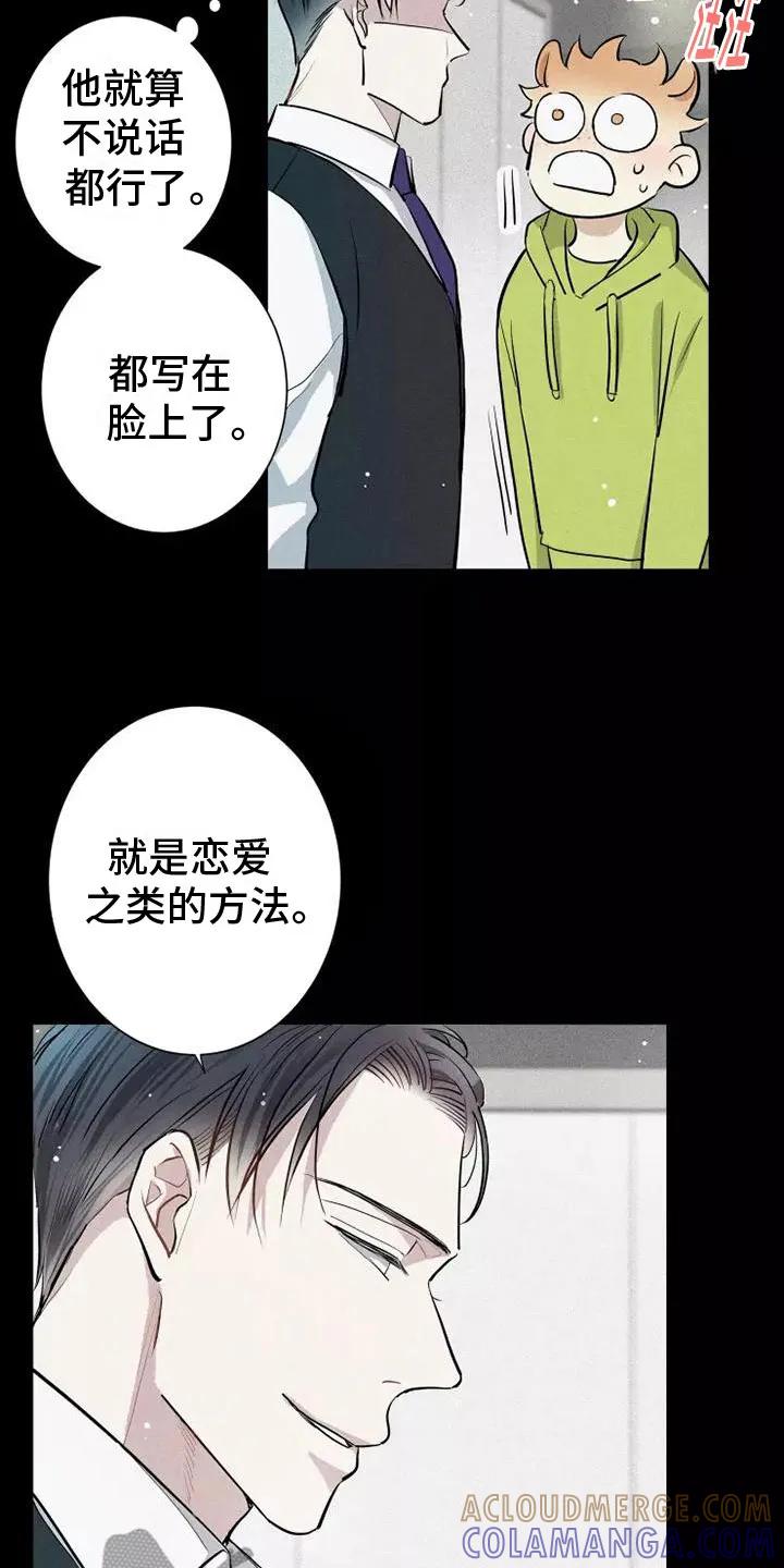 念念不忘 第12章：有趣的笨蛋 第17页