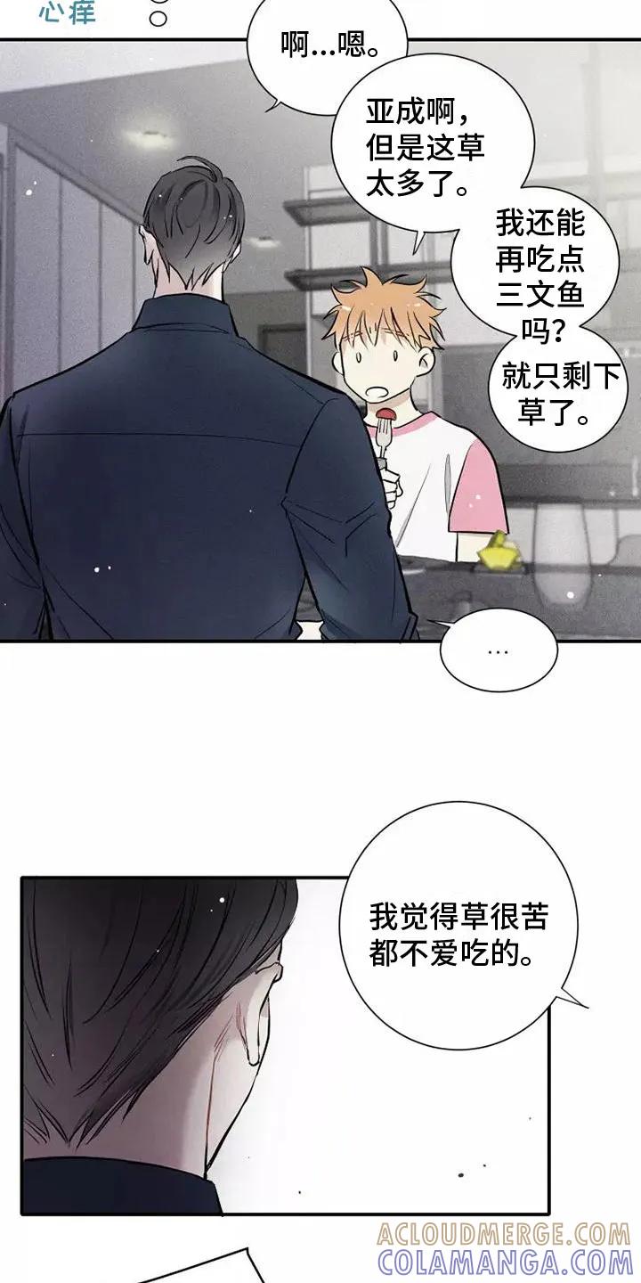 念念不忘 第15章：习惯 第5页