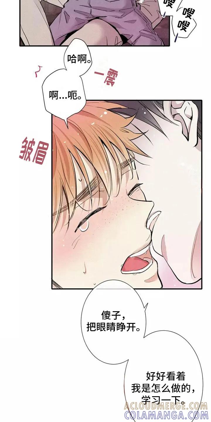 念念不忘 第18章：偷吻 第13页